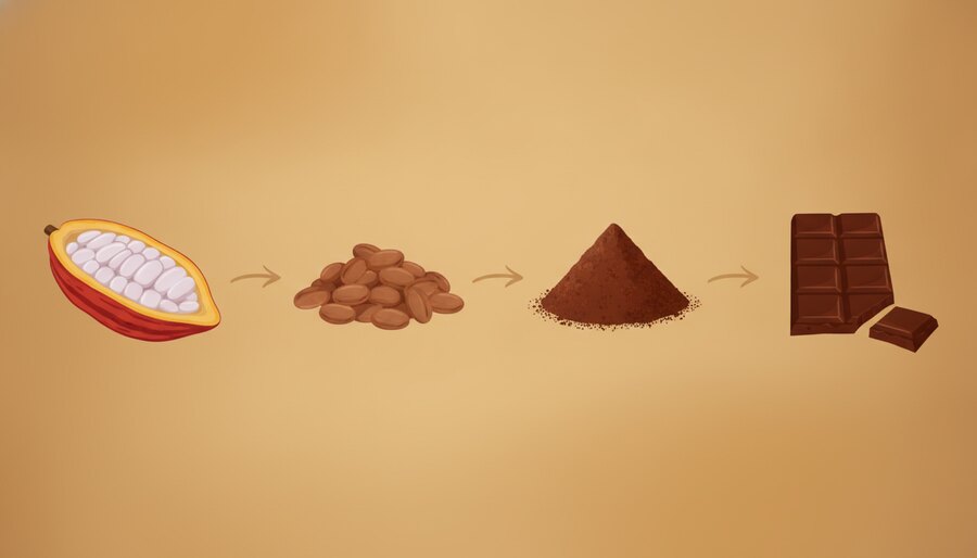 Etapas do cacau ao chocolate: fruto maduro, amêndoas secas, massa de cacau e barra de chocolate